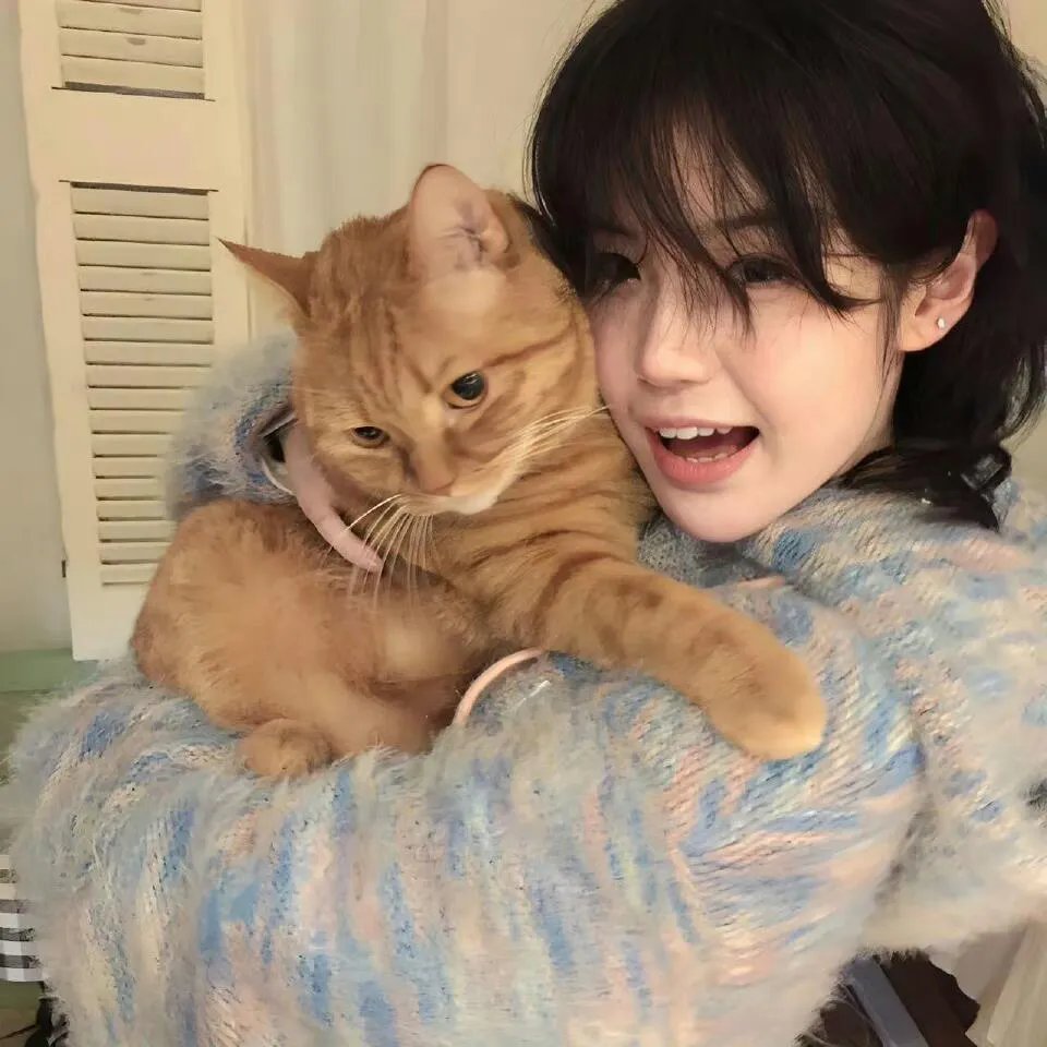 命中注定守护你